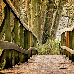 puente que cruza un río con barandilla de madera en un bosque